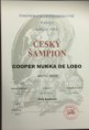 /album/fotogalerie-cooper-nukka-de-lobo-arctic-snow/cooper-cesky-sampion-jpg/